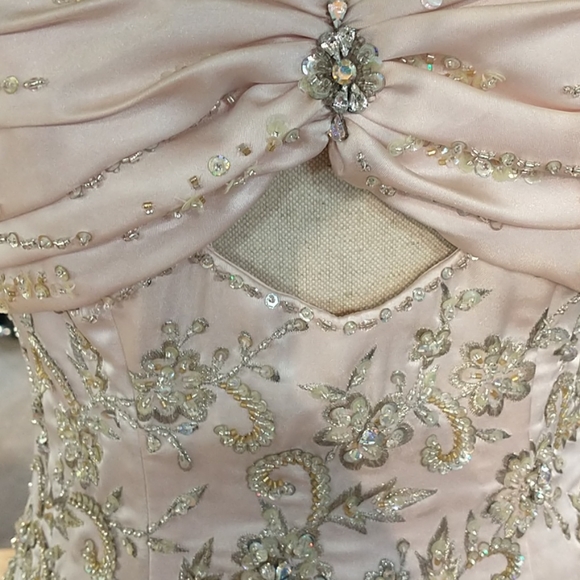 Posh Precious Formals Prom dress - Picture 5 of 6